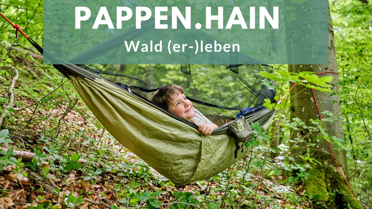 Pappen.Hain - Wald (er-)leben
