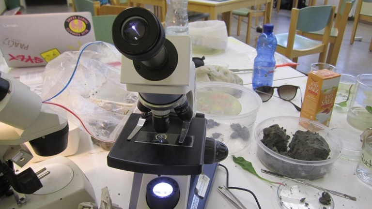 Ökosystem Wattenmeer- Biologie Exkursion des JAG