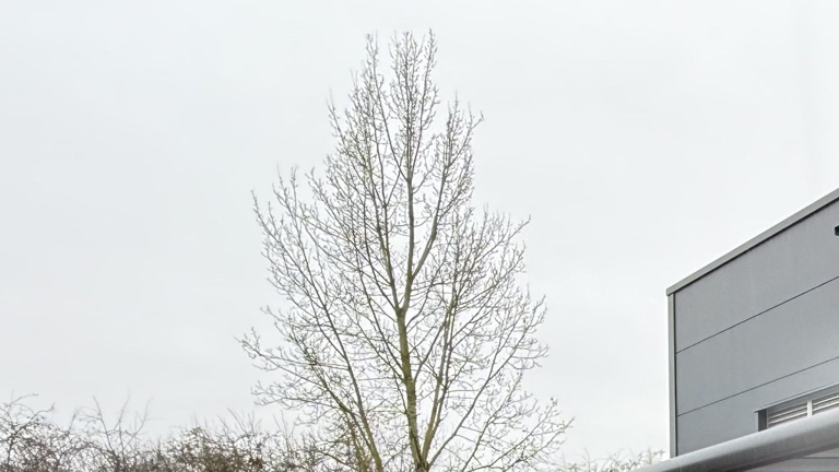 DGH Lärmschutzplane