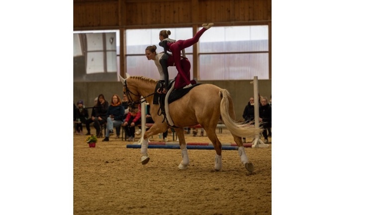 Neues Voltigierpferd für die SG Mauerbach