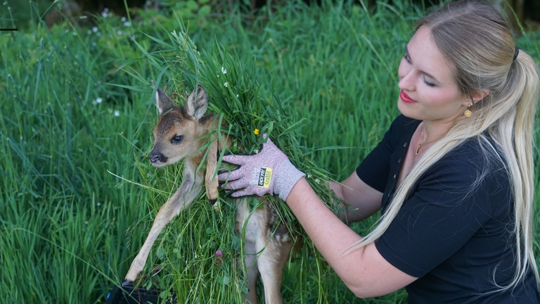 Drohnentechnik für die Rehkitzrettung
