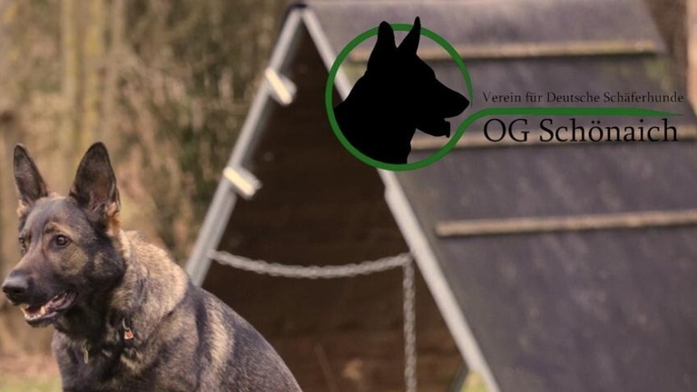 Licht an für unsere Hundeausbildung!