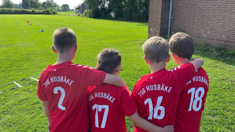 Ballfangzaun für die TSG Husbäke