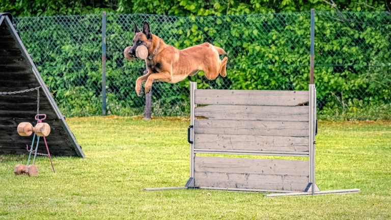 Damit kein Training im Dunkeln steht- wir brauchen neues Flutlicht!