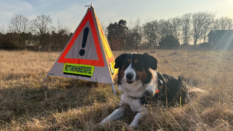 (Schutz-)Ausrüstung für Mensch und Hund