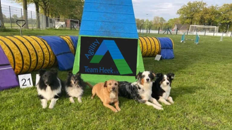 Flutlichtanlage für das Agility Team Heek