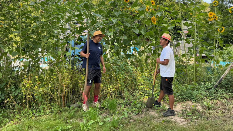 Internationaler Freiwilligendienst im Unkeler Bürgerpark