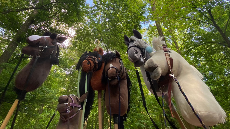 Ausrüstung für die Hobby Horsing Gruppe, Nördlingen