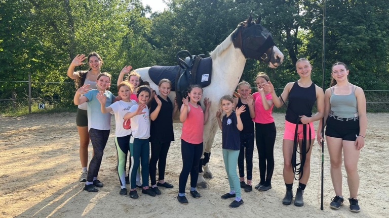 Verstärkung für unser Pferdeteam