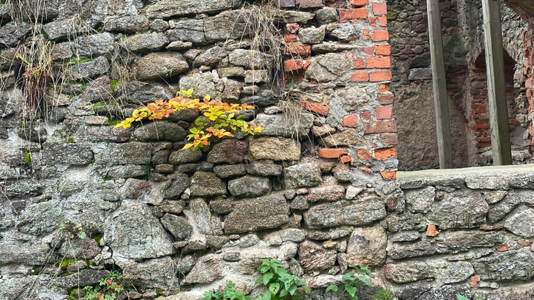 Sanierung der Burgruine auf dem Hofberg in Haibach