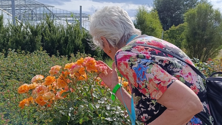 Ausflüge mit Herz - Erlebnisse mit Demenzerkrankten