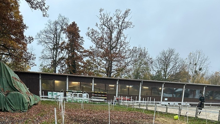 Sanierung der Winterpaddocks für Schul-, Freizeit- und Turnierpferde