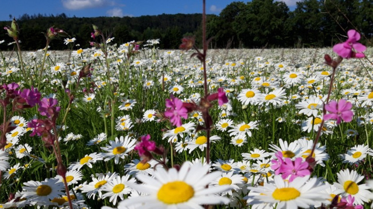 UNsere NAtur, Naturschutzprojekt im Kreis Unna